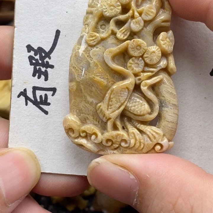 硅化珊瑚（珊瑚玉）未镶嵌颈饰