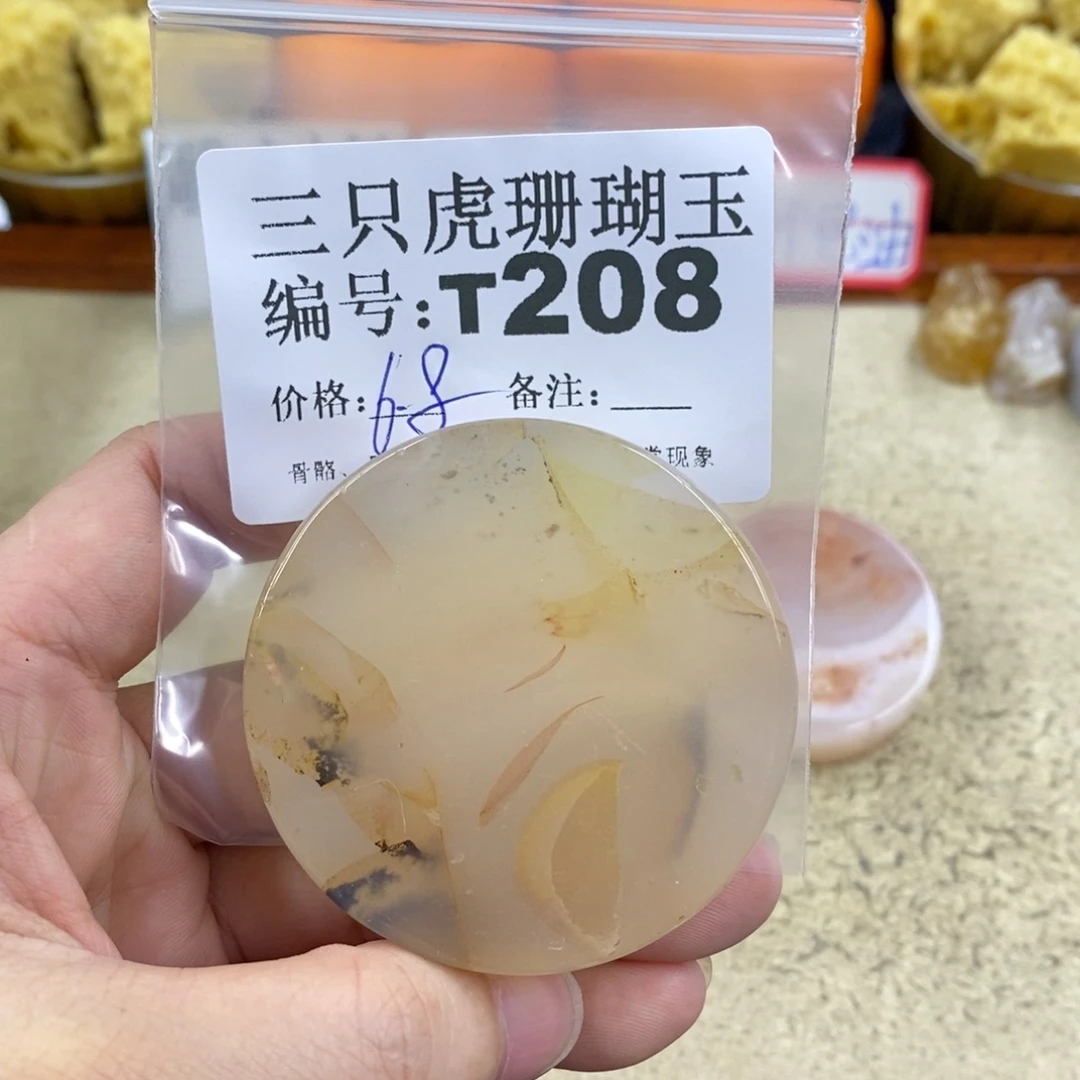 硅化珊瑚（珊瑚玉）1未镶嵌?****