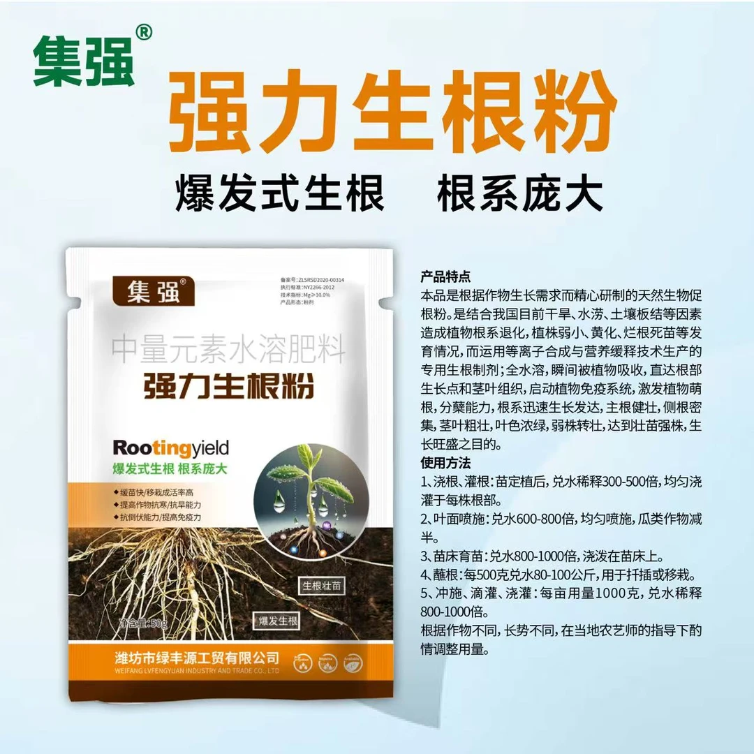 长寿花常用(生根粉)