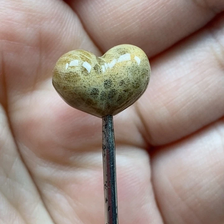 颈饰未镶嵌硅化珊瑚（珊瑚玉）小