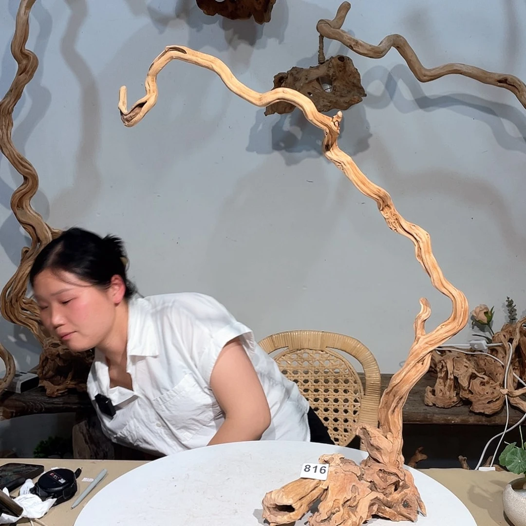 核桃木/黑胡桃（胡桃木）坚****斗