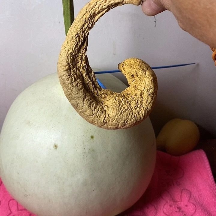 葫***生青皮葫芦手把件摆件