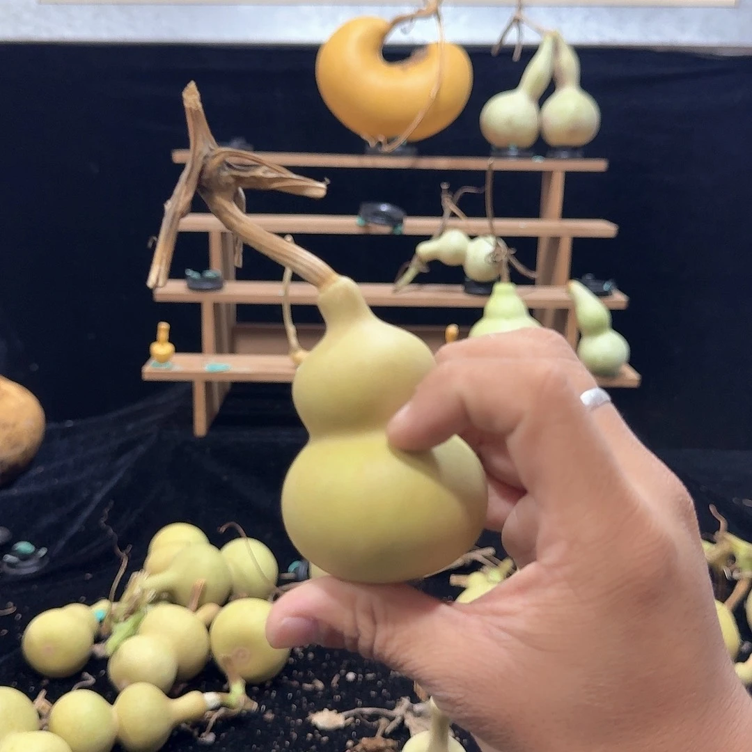我****定向定向定向定向定向