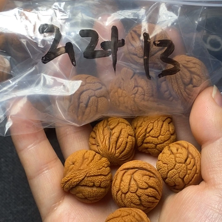 桃核吊坠秦岭山野生桃核