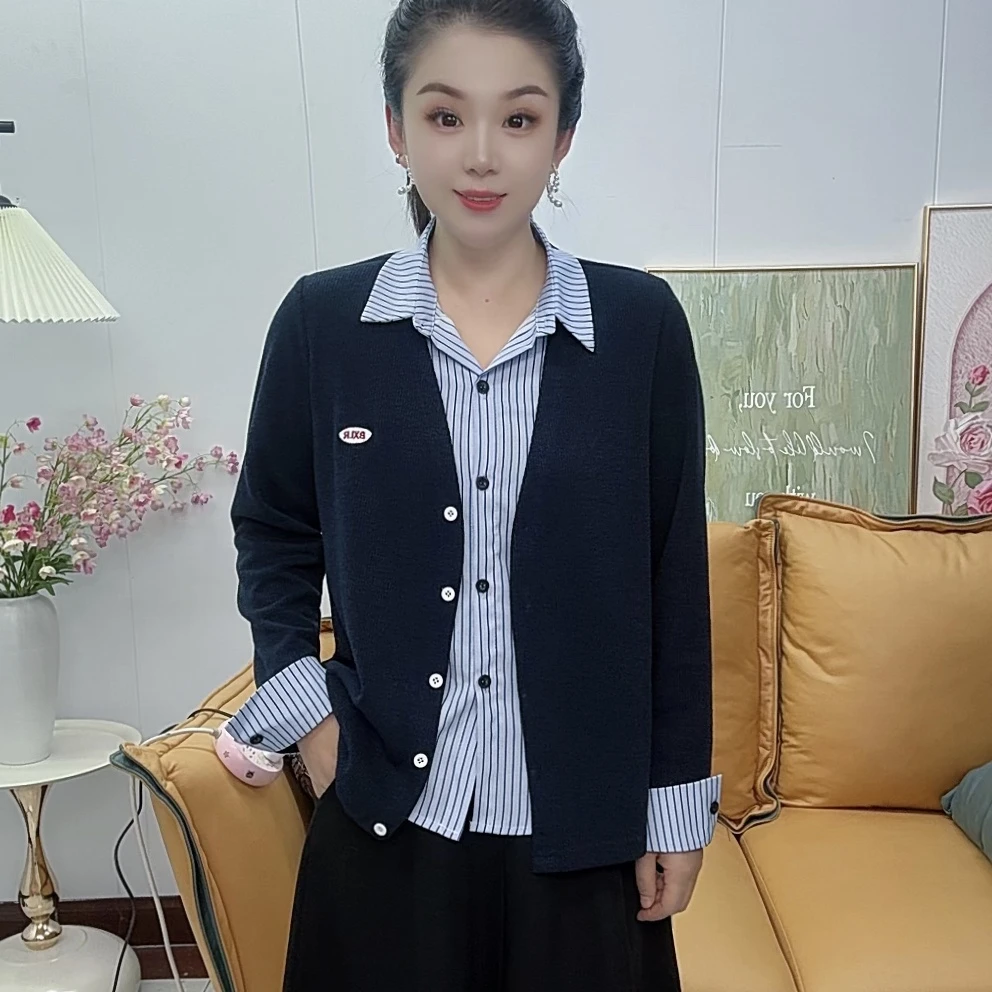 假两件秋季女装新款上衣刺绣条纹洋气长袖百搭遮肉显瘦休闲