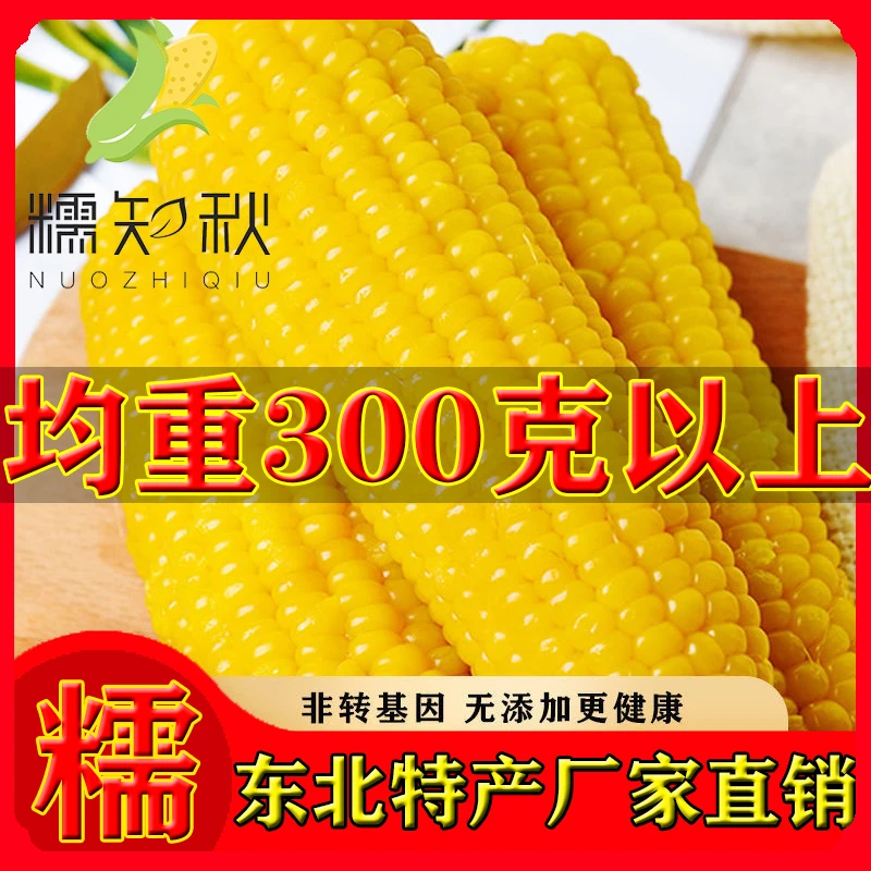 糯知秋东北黄糯玉米软糯香甜真空锁鲜代餐甜糯玉米10根带箱7斤