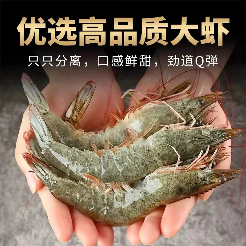 新鲜大号海洋大虾12-15只/斤 13-16cm/只 速冻锁鲜 四斤