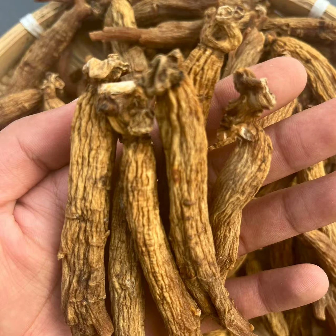 【瑶瑶推荐】长白山 高丽参 原型