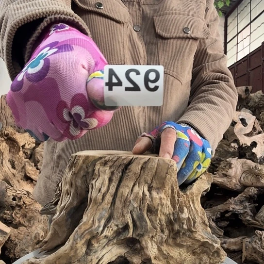 十***味紫砂噜啦啦啦啦啦啦