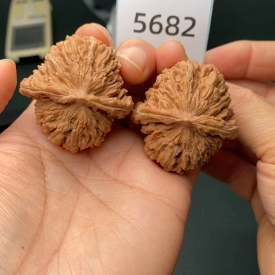 把件文玩核桃41山地楼5682