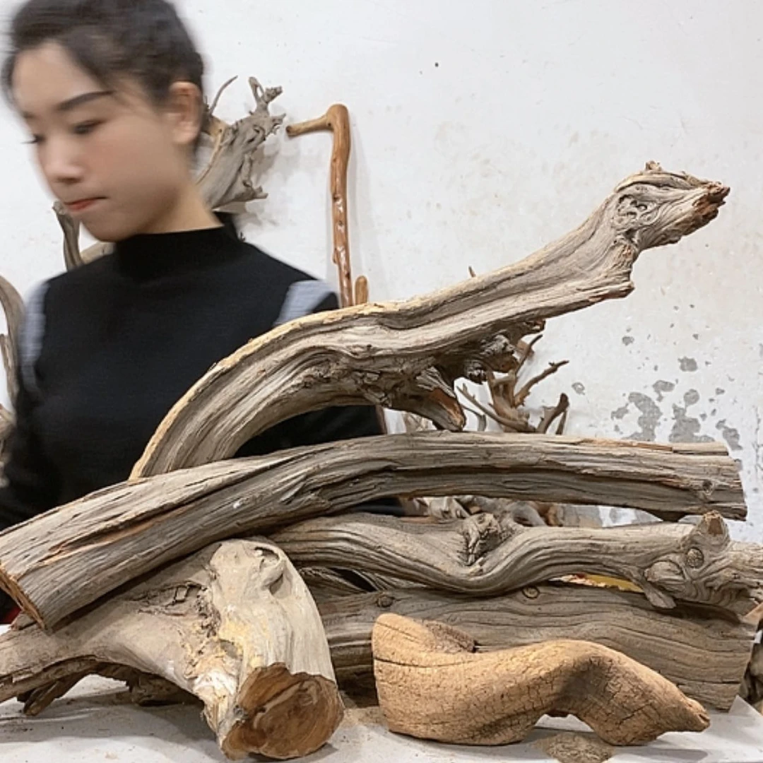 【闪购商品】柏木金*我们都是好孩子