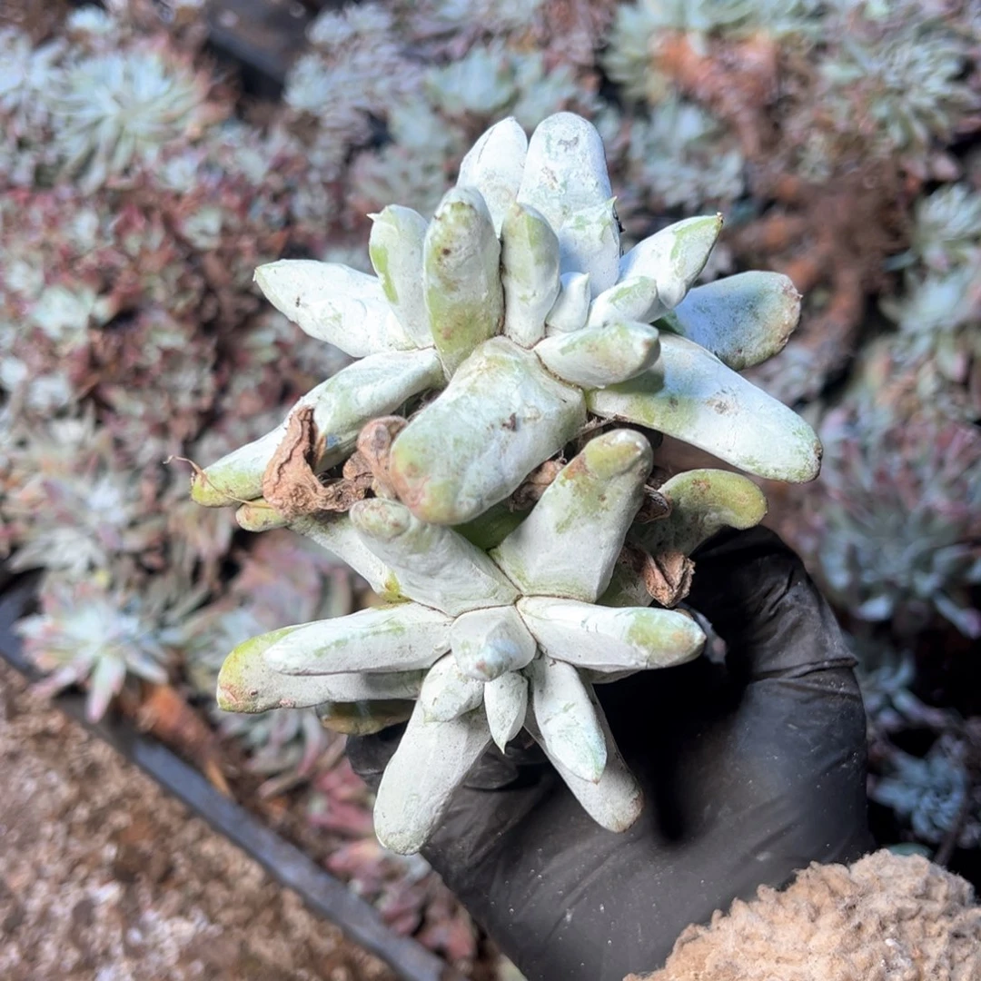 6767哈哈哈哈哈哈哈哈