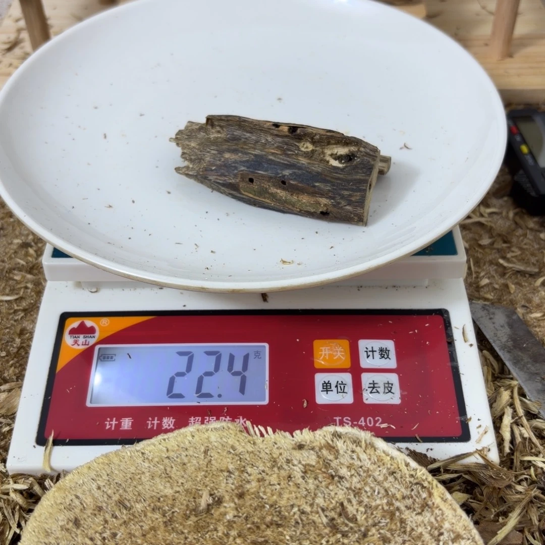 diy多样性发一香薰料