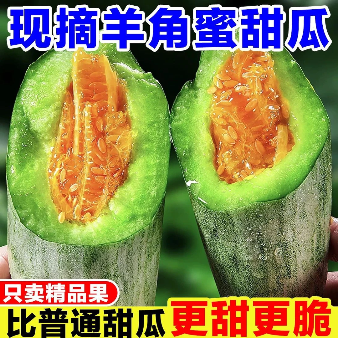 【现摘现发】山东头茬羊角蜜甜瓜脆甜多汁当季水果带箱3/5斤
