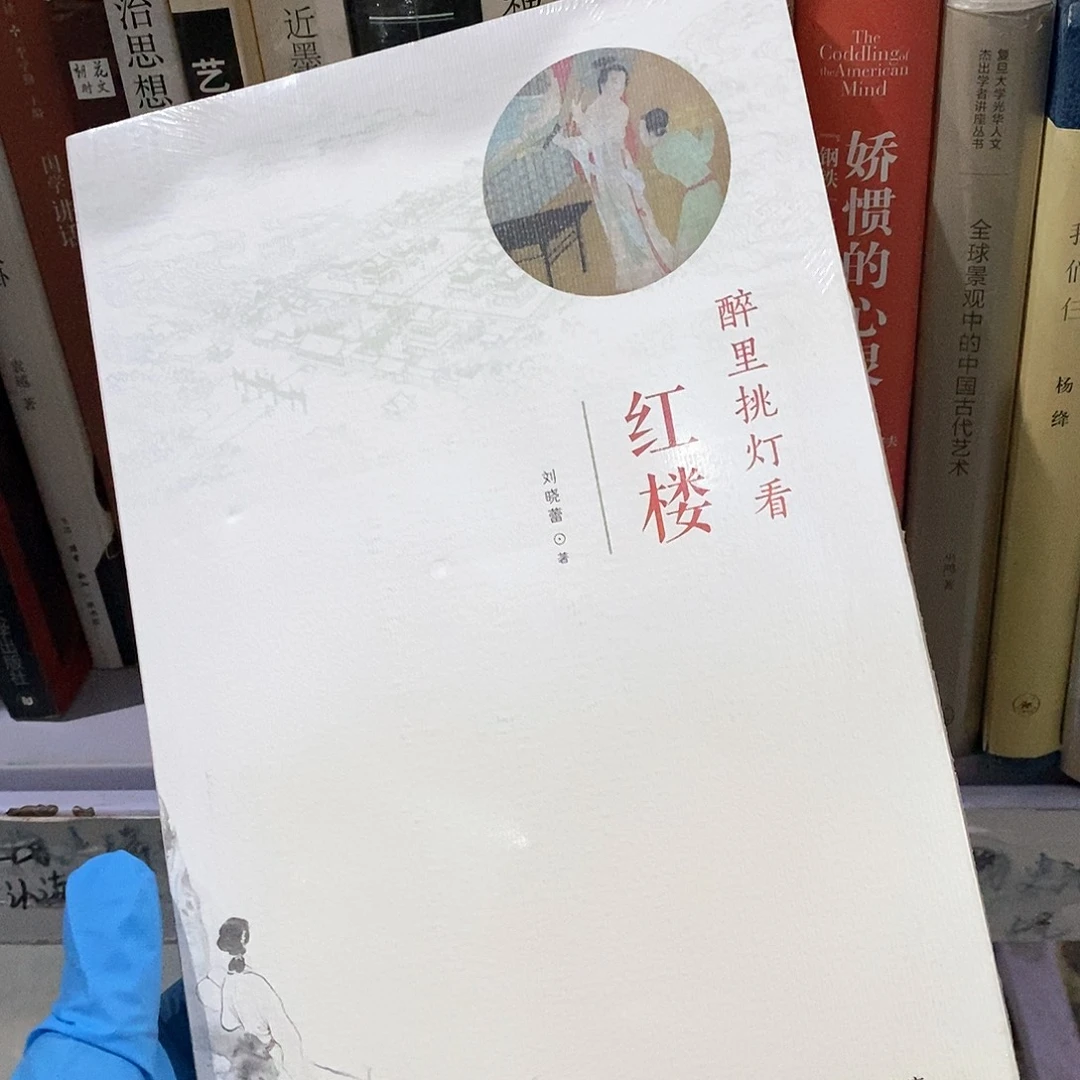 醉里挑灯看红楼