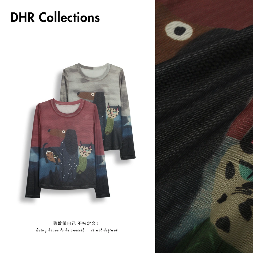 DHR COLLECTTIONS【有里衬】春夏薄款网纱图案长袖T恤女上衣-D1098