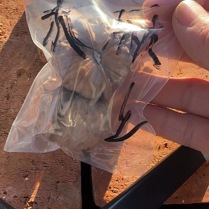 米***了文玩核桃把件南瓜墩