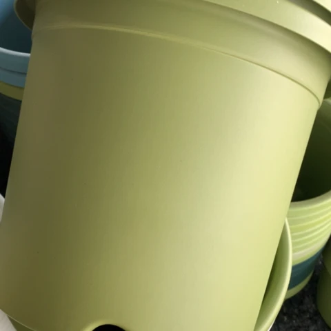 树脂5加果绿无托3个