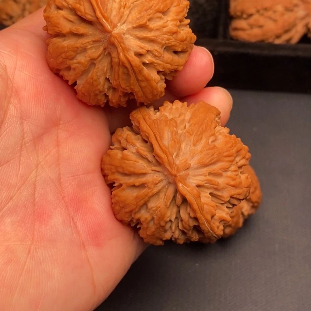 秦岭野生文玩核桃