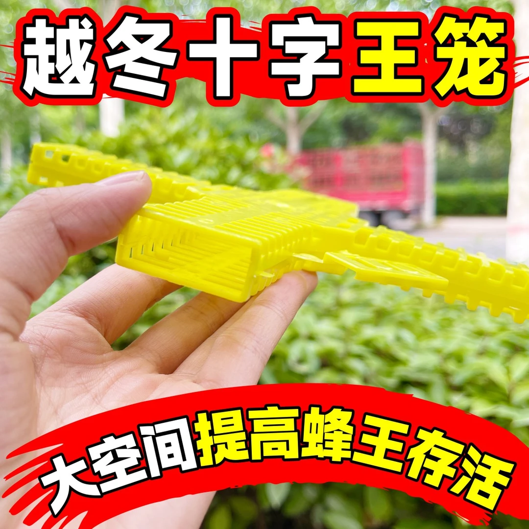 十字王笼蜂王专用蜜蜂保暖中蜂结团囚王意蜂多功能储王器养蜂工具