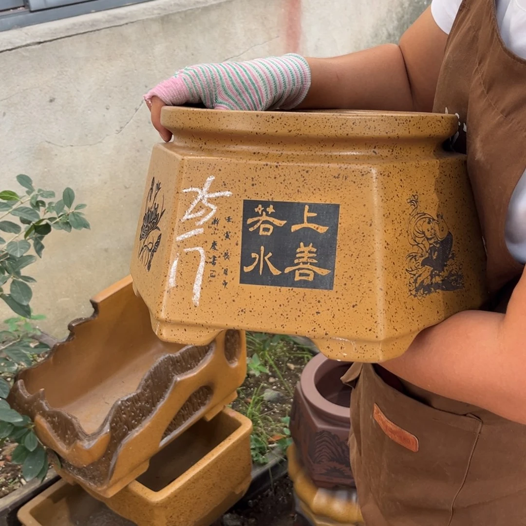紫砂花盆盆景艺术