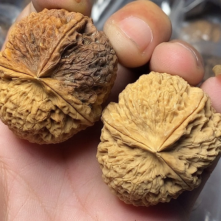 把件文玩核桃云南铁核桃98