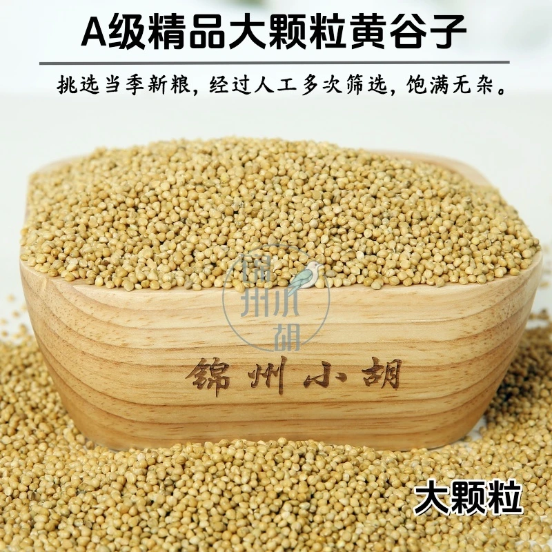 大粒黄谷子专用颗粒绿色鸟粮鸟食精品【2024】新粮鹦鹉真空包装