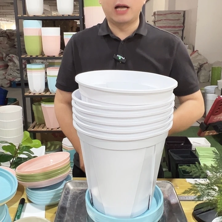 青山口24高24白色6个带托