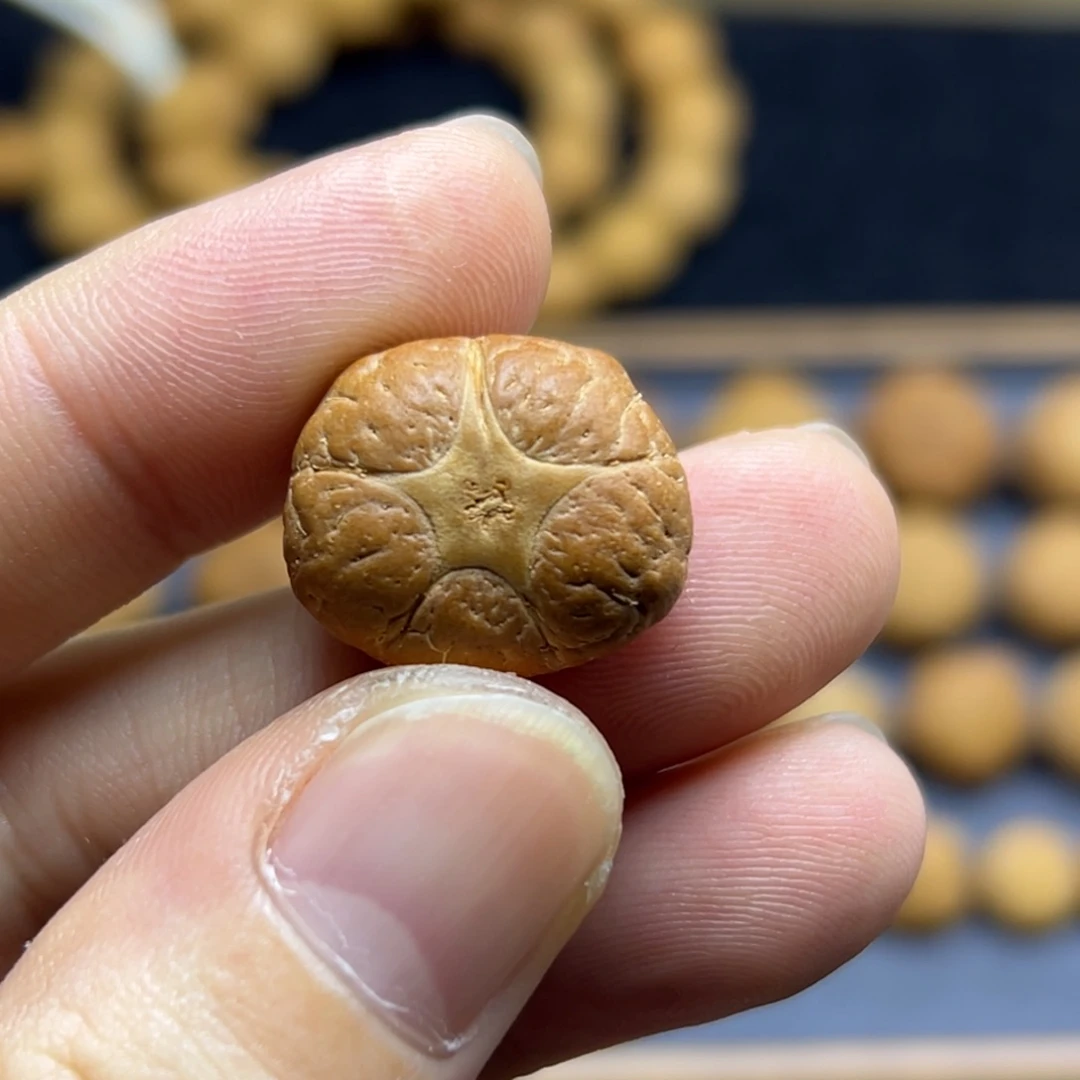 手串凤眼菩提19.8五星上将