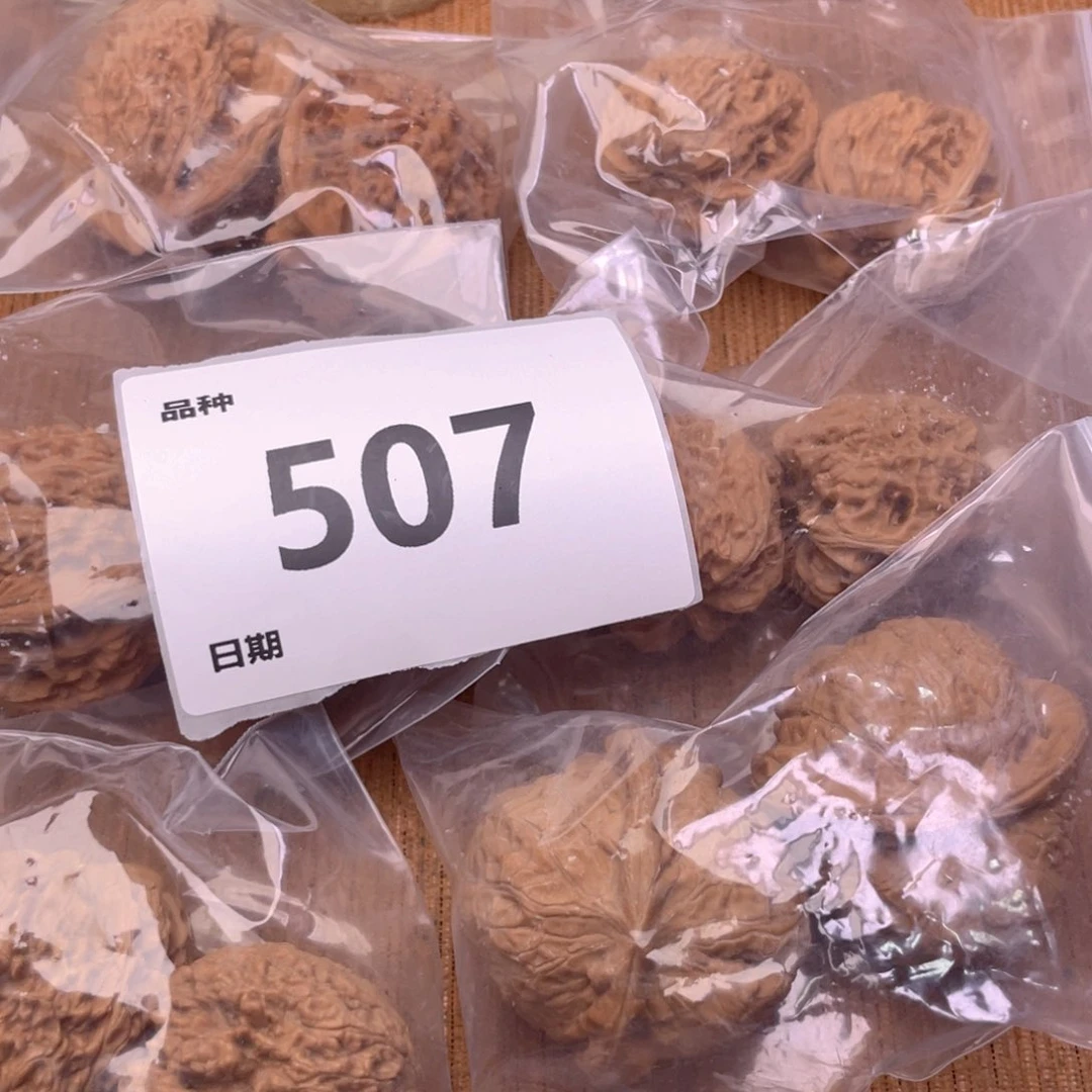 文玩核桃把件507号6对带练手南瓜