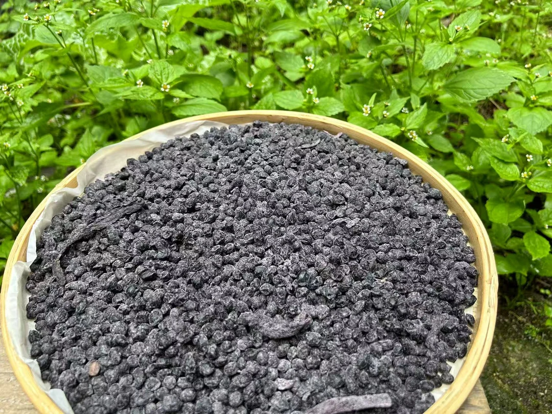 【当-歸-嫼-荳-】净含量500g【阿婷现收】非菇类