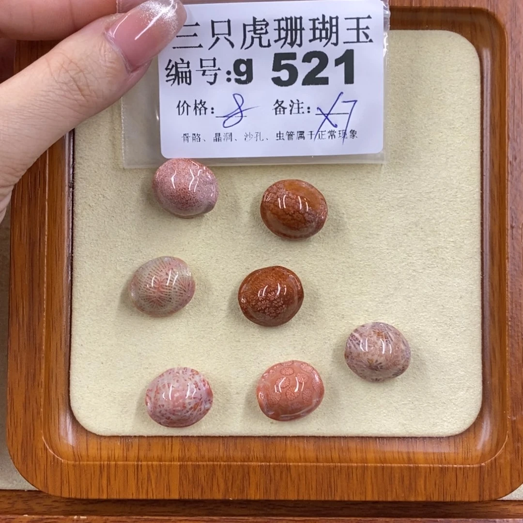 硅化珊瑚（珊瑚玉）未镶嵌1巴*