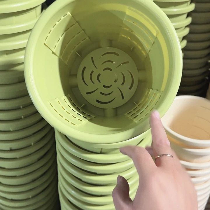 测22口径5个无托果绿