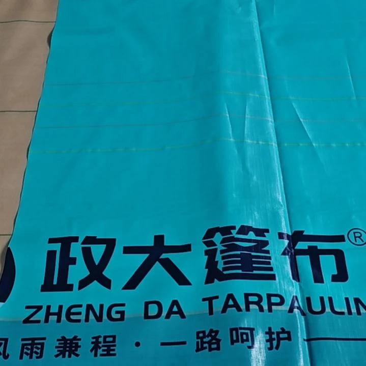 绒质686776866868686868