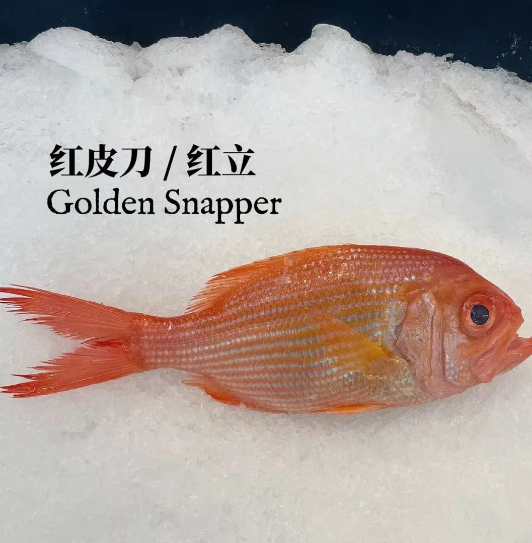 红皮刀【直播现称】现称鱼/虾/蟹 等海鲜易直播间称重商品为准