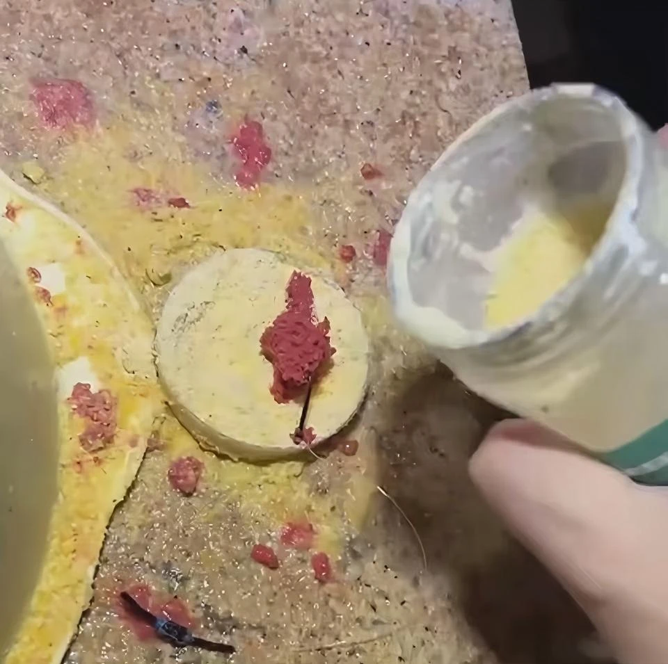 主播同款【拍一发二】垂钓用品鲫鲤草罗非鲢鳙翘嘴青鱼饵料的钓鱼料