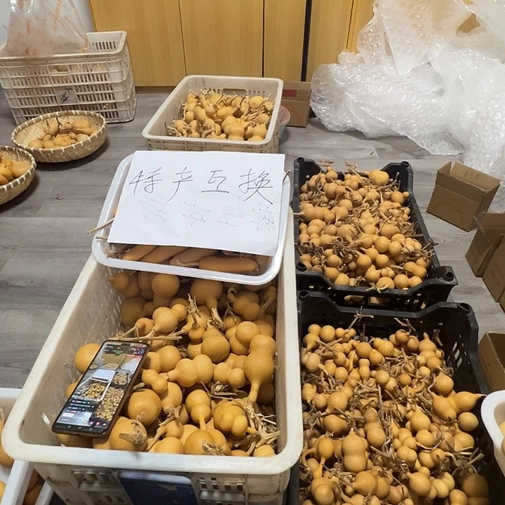 哈***哈文玩小葫芦一物一拍