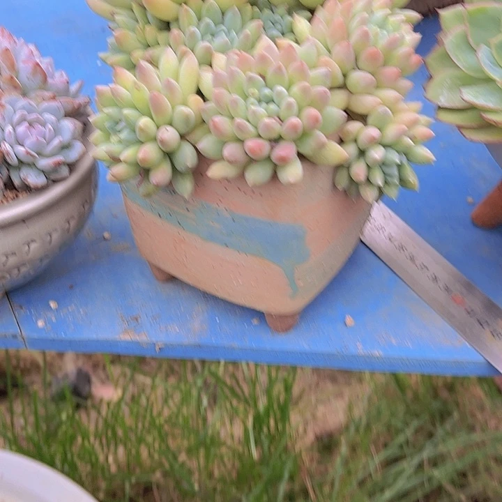 ︶***谂带盆哈哈哈哈哈哈哈哈哈哈哈哈