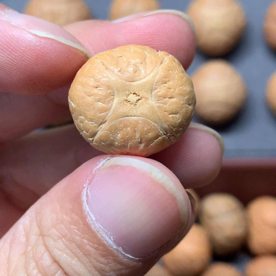 凤眼菩提吊坠19.4mm尼泊尔麒麟，打孔直播间和我说