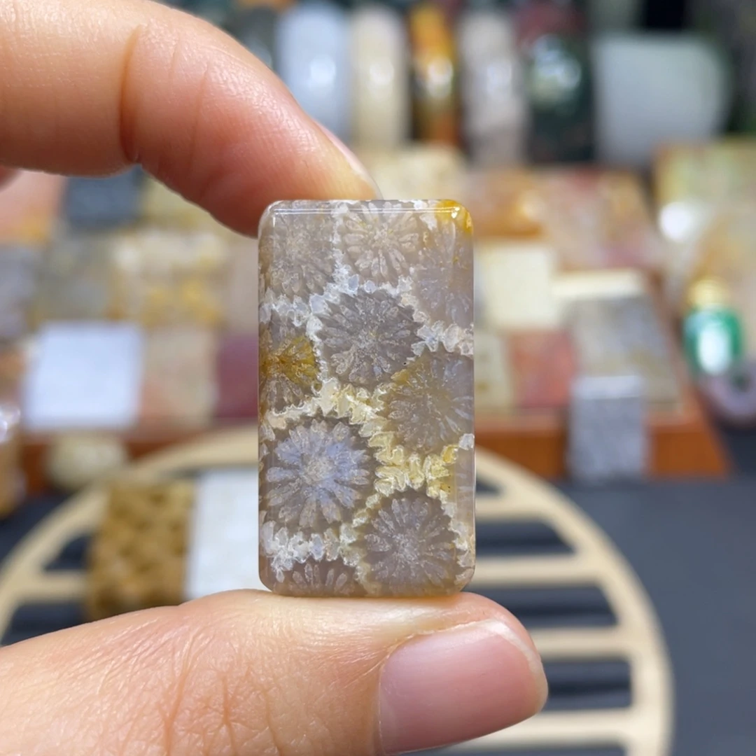 硅化玉未镶嵌颈饰k5