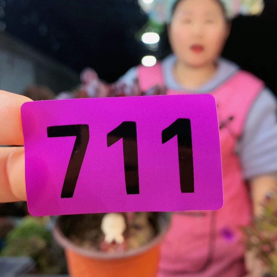 ssssssssssssssssssssssss711