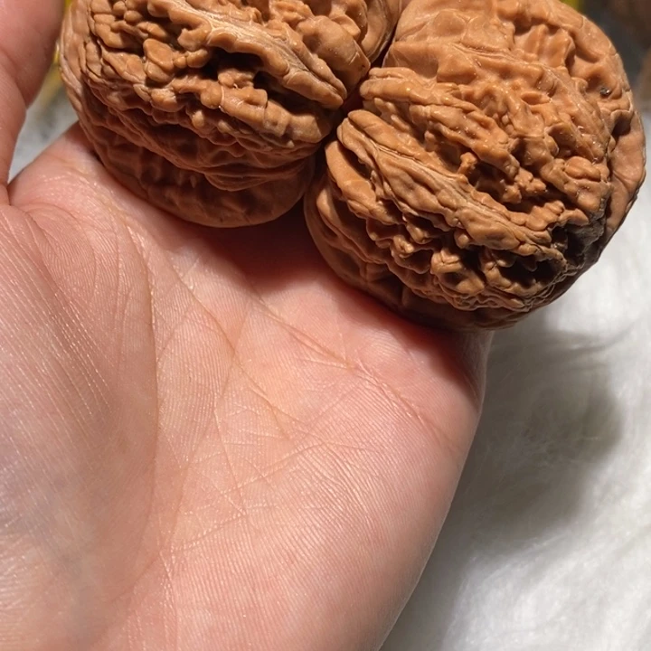云***华吊坠文玩核桃精品课程等课程教学工作中