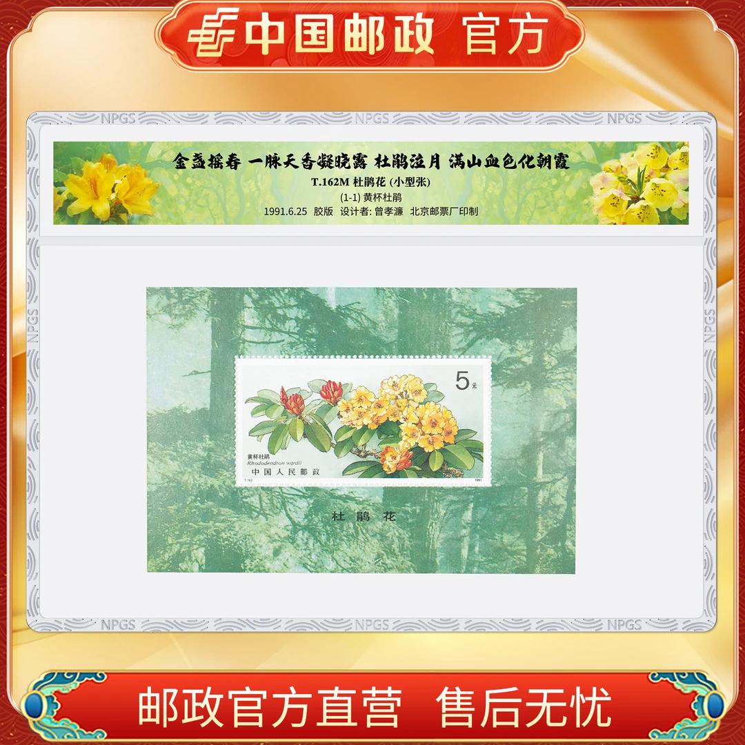 中国邮政官方 T.162M杜鹃花小型张 浙邮文创