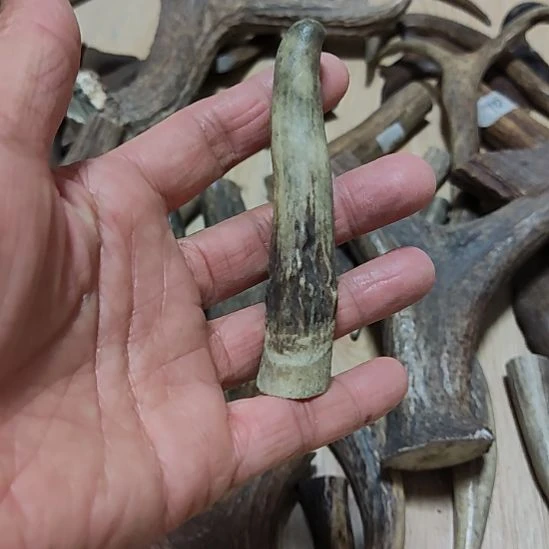 纯铜石英石原皮原色鹿角