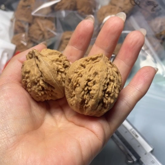 有***才吊坠文玩核桃霸王龙9