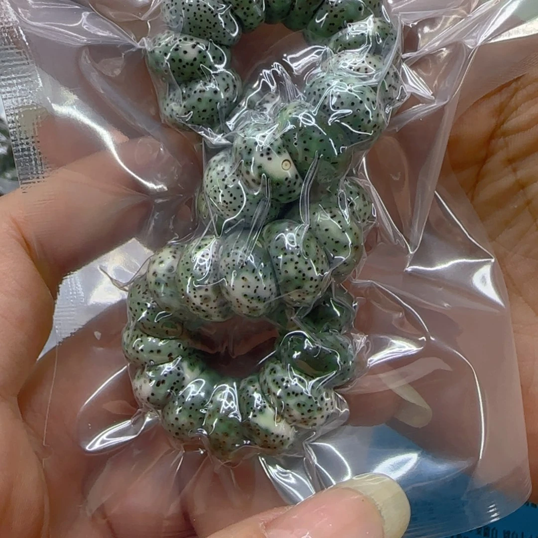 星月菩提手串49高端绿星月菩提1.3蒜瓣猪大肠单圈