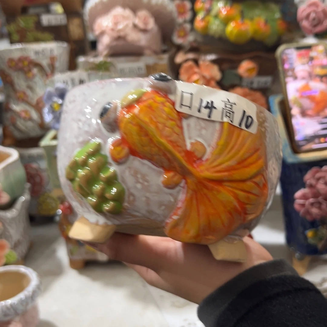 花盆，拍满20发货，退款拉黑