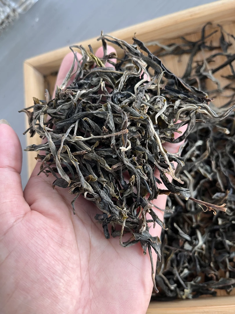 【冰岛地界】 地界二类古树春茶晒青毛茶，香味突出