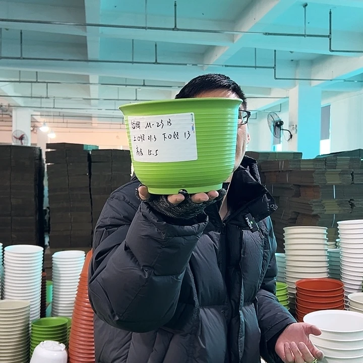 正品矮陶口21高15果绿无托8只