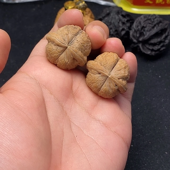 龙脊菩提吊坠元宝连体